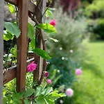 Ferienhaus-juliana Nyaraló Stolberg i. Harz