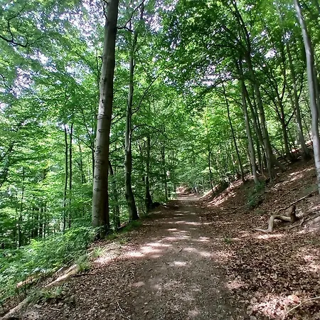 Semesterbostad Ferienhaus-juliana *