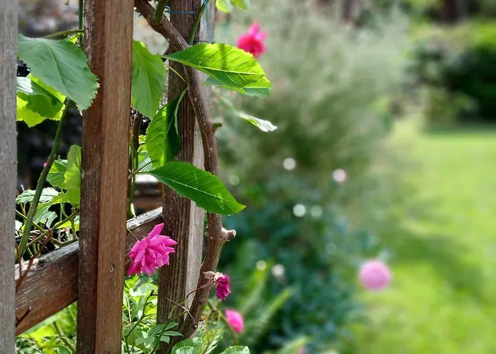 Ferienhaus-juliana Prázdninový dům Stolberg i. Harz