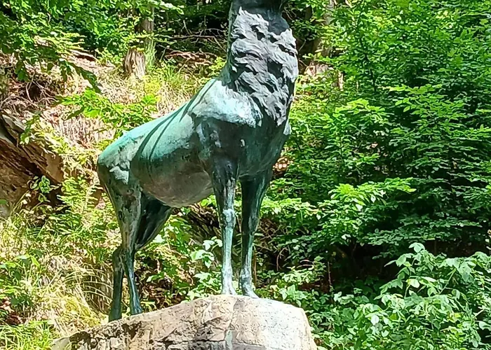 Prázdninový dům Ferienhaus-juliana Stolberg i. Harz