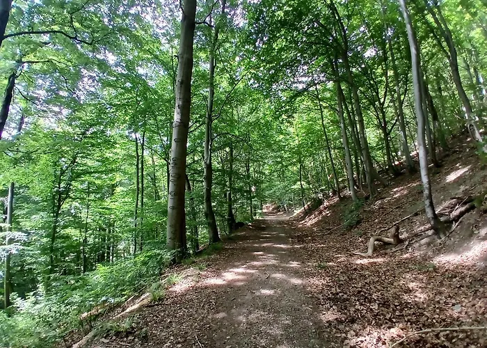 Ferienhaus-juliana Prázdninový dům *